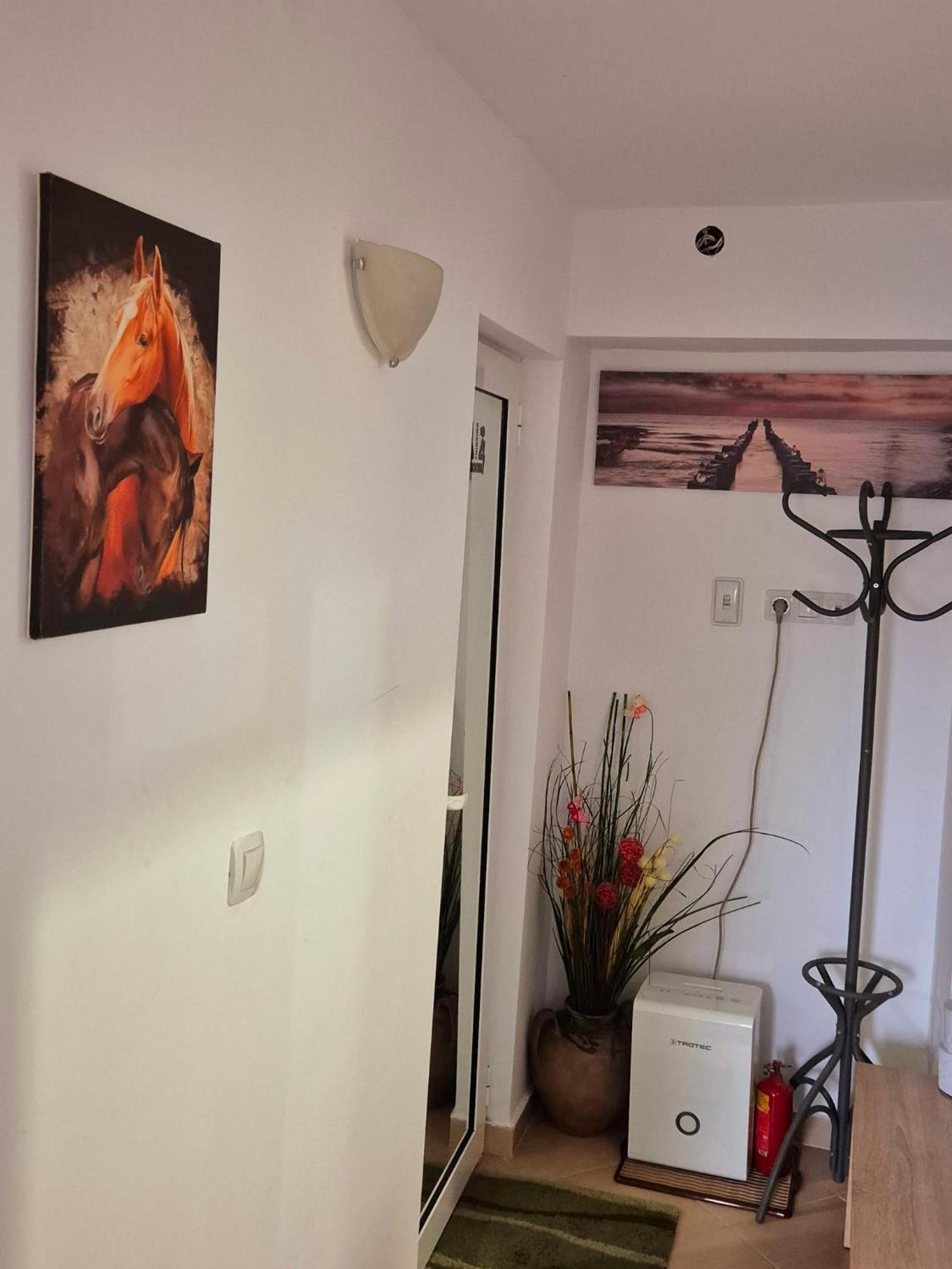 Apartment Shesti Uchastak 加布罗沃 外观 照片