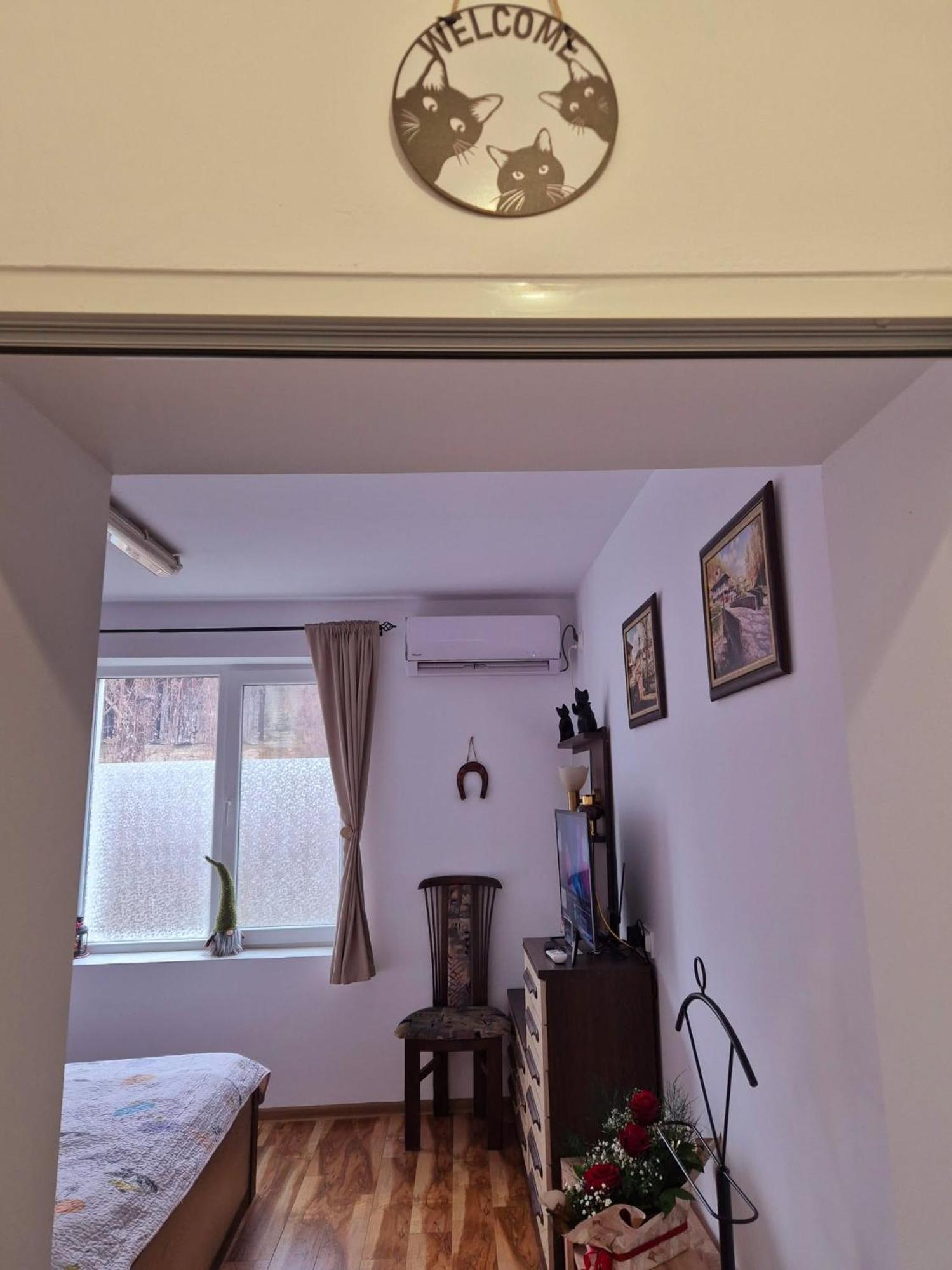 Apartment Shesti Uchastak 加布罗沃 外观 照片